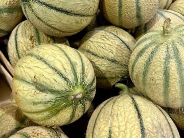 Les voilà ☀️ Nous sommes ravis de vous annoncer l’arrivée de magnifiques melons chez ICCI !!! Ils sont délicieux 😃. Ça y est la saison estivale est lancée …...